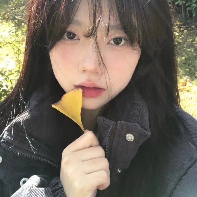 初试羽翼